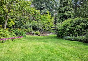 Optimiser l'expérience du jardin à Cisternes-la-Foret